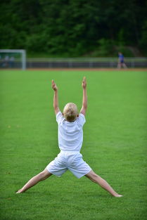 米兰网页版-高校体育运动训练强度调控与效果研究,高校体育运动训练强度调控与效果研究论文